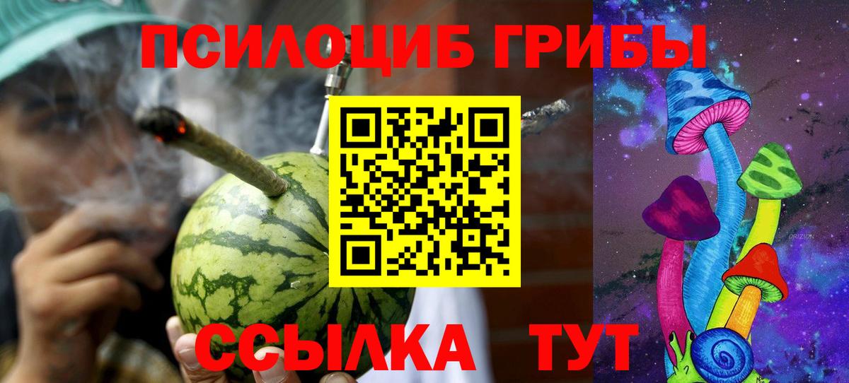 Псилоцибиновые грибы Psilocybine cubensis Дивногорск